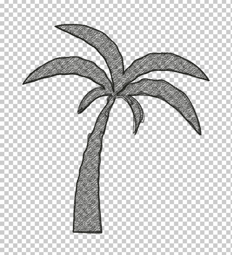 Nature Icon Palm Tree Icon Beach Icon PNG, Clipart, Beach Icon, Biology, Black, Drawing, Flora Free PNG Download