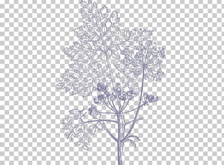 Drawing PNG, Clipart, Black And White, Branch, Desktop Wallpaper, Display Resolution, Drawing Free PNG Download