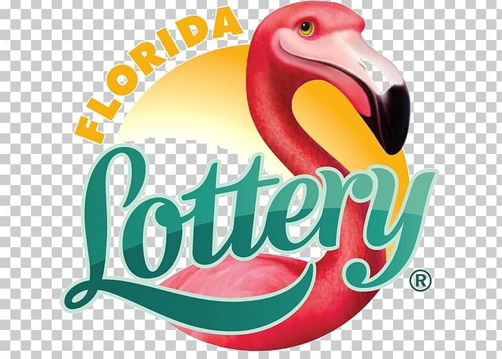 Florida Lottery Scratchcard Mega Millions PNG, Clipart, Beak, Brand, Cash4life, Florida, Florida Lottery Free PNG Download