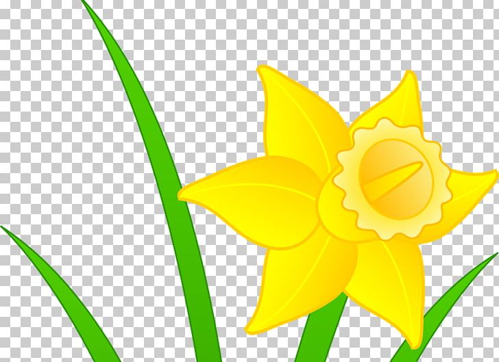 Daffodil I Wandered Lonely As A Cloud PNG, Clipart, Amaryllis Family, Art, Blog, Cut Flowers, Daffodil Free PNG Download