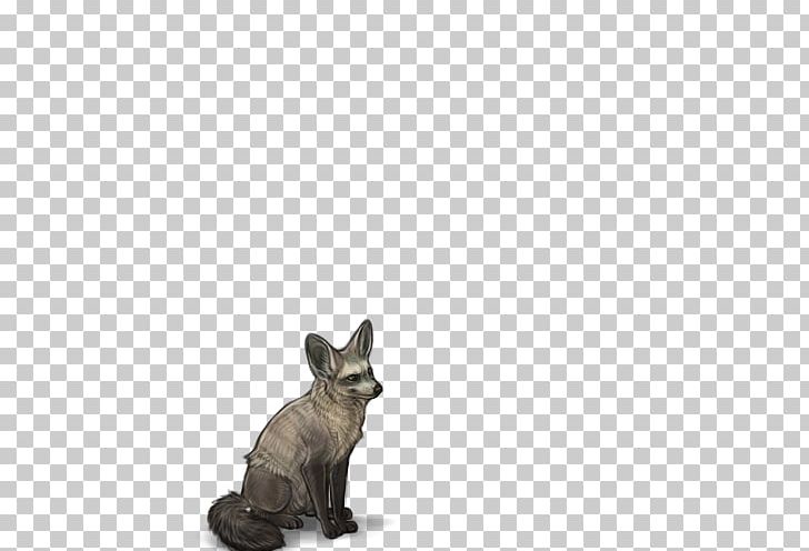 Dog Breed Cat Fauna Snout PNG, Clipart, Animals, Breed, Carnivoran, Cat, Cat Like Mammal Free PNG Download