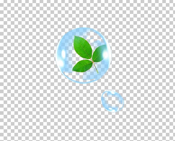 Leaf Drop Water PNG, Clipart, Blood Drop, Blue, Circle, Computer, Computer Wallpaper Free PNG Download