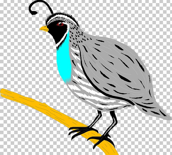 Quail Bird Partridge PNG, Clipart, Animals, Artwork, Beak, Bird, Brown Quail Free PNG Download