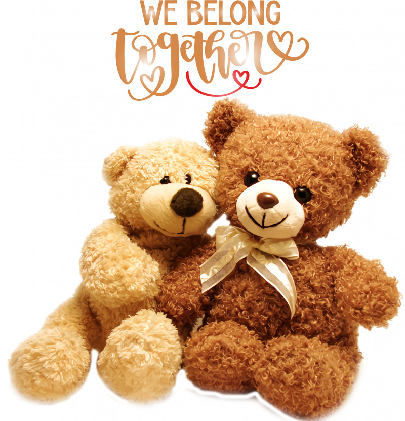 Teddy Bear PNG, Clipart, Bears, Couple, Cuteness, Doll, Gift Free PNG Download