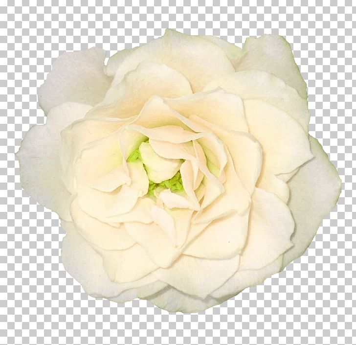 Flower Bouquet Rose PNG, Clipart, Artificial Flower, Cut Flowers, Floribunda, Floristry, Flower Free PNG Download