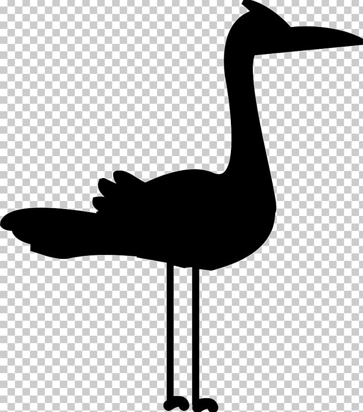 Scalable Graphics Drawing Psd PNG, Clipart, Animal, Beak, Bird, Black And White, Computer Font Free PNG Download