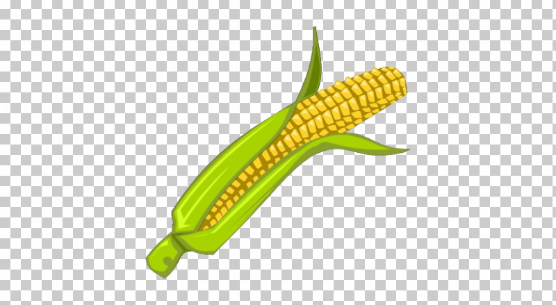 Corn On The Cob Vegetable Sweet Corn Corn Vegetarian Food PNG, Clipart, Corn, Corn Kernels, Corn On The Cob, Cuisine, Plant Free PNG Download