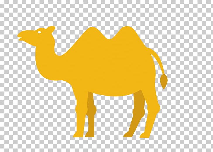Dromedary Youssoufia Berrechid Logo PNG, Clipart, Animals, Arabia, Arabian Camel, Country, Download Free PNG Download