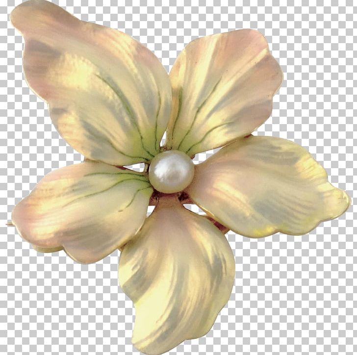 Jewellery Flower Petal Enamel Pearl PNG, Clipart, Antique, Body Jewelry, Brooch, Cut Flowers, Enamel Pearl Free PNG Download