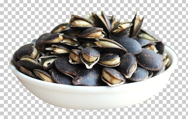 Pumpkin Seed Kuaci Egusi PNG, Clipart, Animal Source Foods, Background Black, Black Background, Black Board, Black Hair Free PNG Download