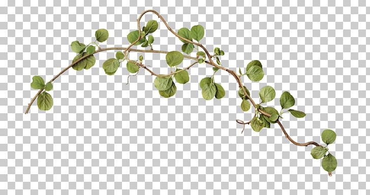 Twig Branch Leaf PNG, Clipart, Branch, Cmyk Color Model, Data, Data Compression, Flora Free PNG Download