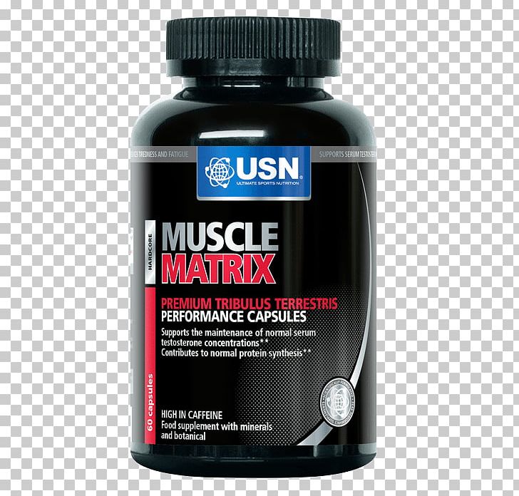 Anabolism Dietary Supplement Muscle Protein Bodybuilding Supplement PNG, Clipart, Adipose Tissue, Anabolic Steroid, Anabolism, Bodybuilding Supplement, Creatine Free PNG Download
