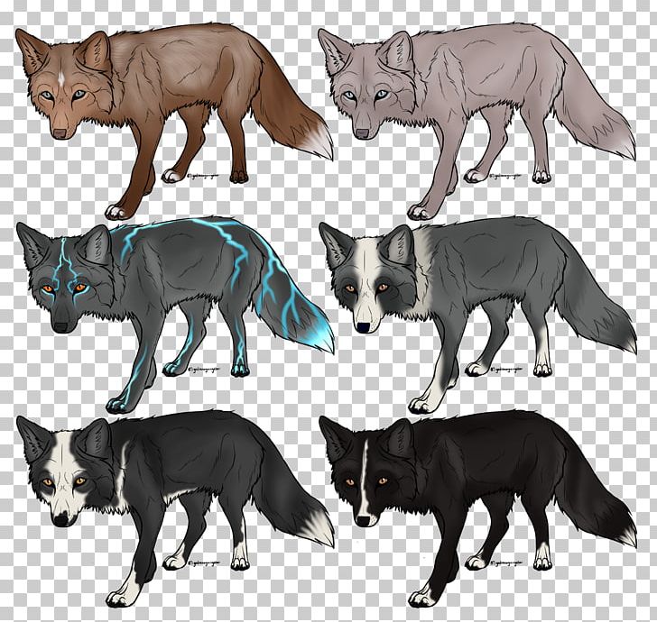Cat Viverrids Procyonidae Canidae Dog PNG, Clipart, Animals, Canidae, Carnivoran, Cat, Cat Like Mammal Free PNG Download