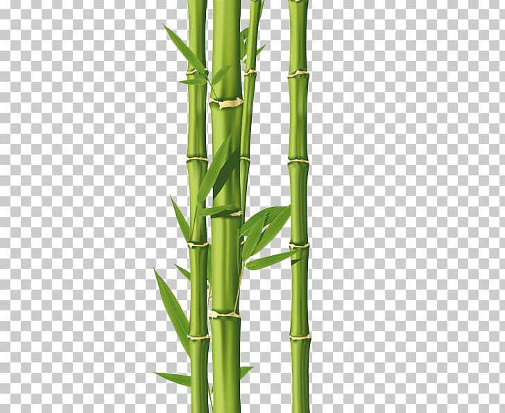 Drawing Bamboo PNG, Clipart, Art, Bamboo, Clip Art, Drawing, Grass Family Free PNG Download