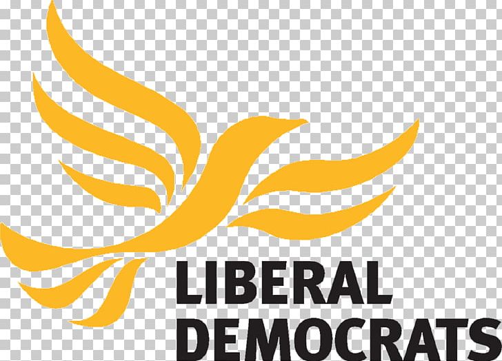 Liberal Democrats Liberalism Political Party Election Councillor PNG, Clipart, Area, Artwork, Brand, Councillor, County Council Free PNG Download