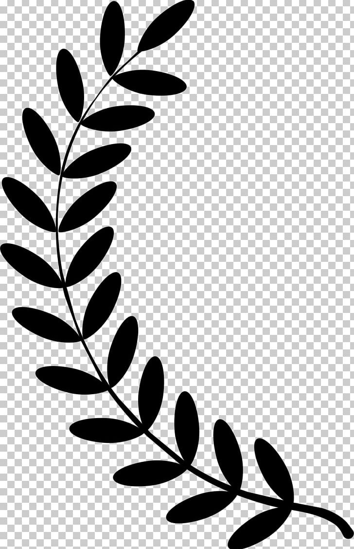 Olive Branch Laurel Wreath PNG, Clipart, Bay Laurel, Black, Black And White, Branch, Clip Art Free PNG Download