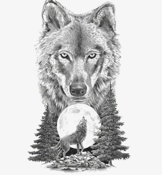 Sketch Animal Wolf PNG, Clipart, Animal, Animal Clipart, Cartoon, Gray, Gray Wolf Free PNG Download