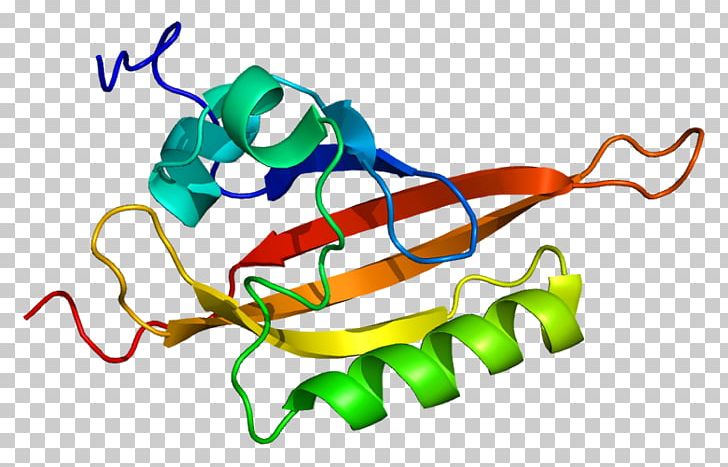 Aryl Hydrocarbon Receptor Nuclear Translocator Basic Helix-loop-helix PNG, Clipart, Artwork, Aryl, Aryl Halide, Aryl Hydrocarbon Receptor, Basic Helixloophelix Free PNG Download