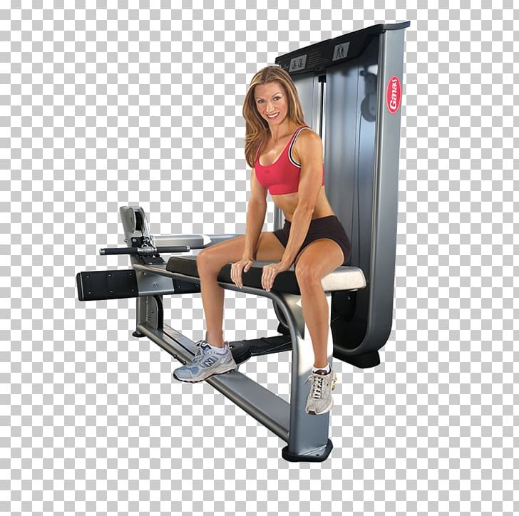 Fitness Centre Physical Fitness Bodybuilding Weight Training Exercise Equipment PNG, Clipart, Arm, Bench, Bodybuilding, Calf, Exercise Equipment Free PNG Download