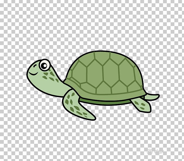 Sea Turtle Reptile Tortoise Illustration PNG, Clipart, Animals, Box Turtles, Cartoon, Emydidae, Fauna Free PNG Download