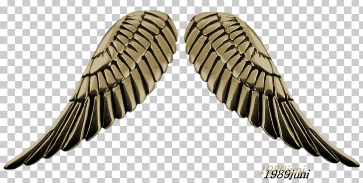 A Severed Wing PNG, Clipart, Art, Desktop Wallpaper, Deviantart, Download, Drawing Free PNG Download