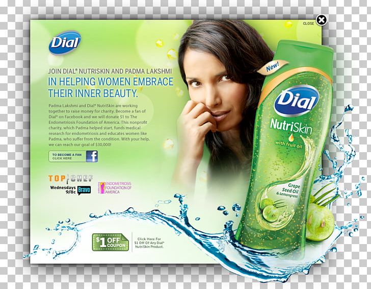 Advertising Slogan Dial Antibacterial Soap PNG, Clipart, Advertising, Advertising Slogan, Antibacterial Soap, Brand, Chloroxylenol Free PNG Download