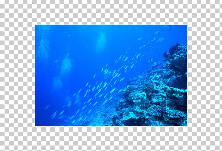 Aquarium Lighting Coral Reef Water Filter PNG, Clipart, Aqua, Aquarium, Aquarium Lighting, Blue, Coral Free PNG Download