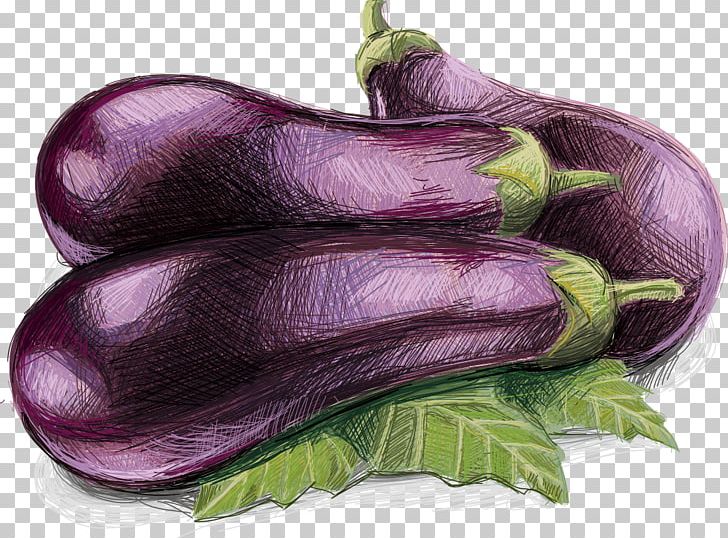 Artichoke Eggplant Vegetable PNG, Clipart, Asparagus, Benih, Cardoon, Cartoon Eggplant, Drawing Free PNG Download