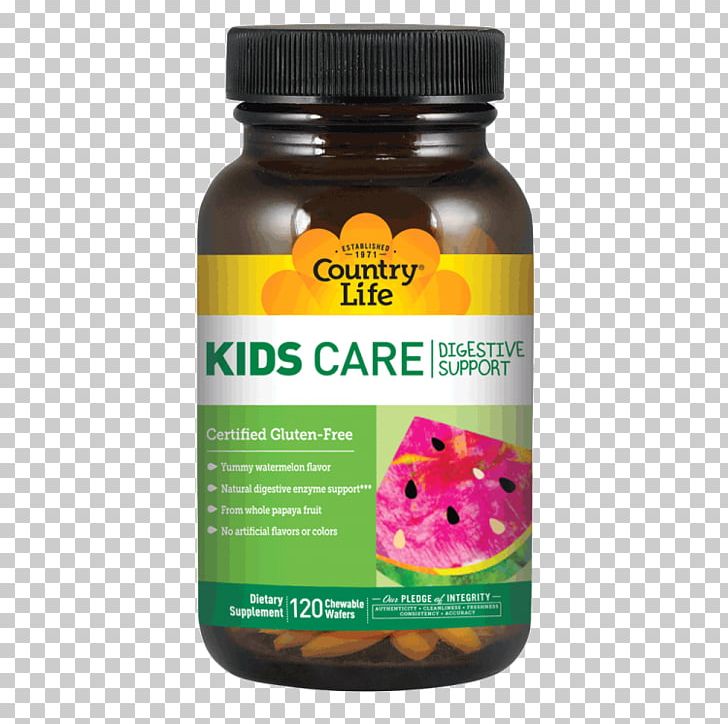 Dietary Supplement Digestive Enzyme Digestion Probiotic Child PNG, Clipart, B Vitamins, Care, Child, Country Life, Dietary Supplement Free PNG Download