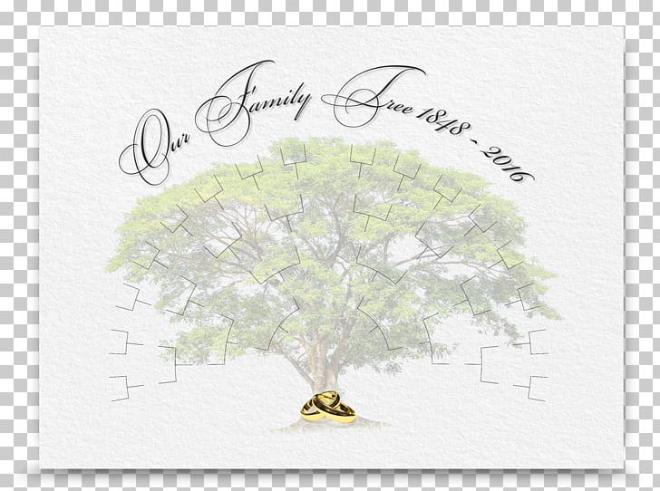 Family Tree Designer T-shirt PNG, Clipart, Arch, Blank, Chart, Designer, Family Free PNG Download