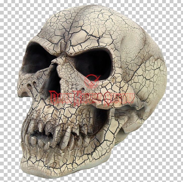 Vampire Skull Fang Human Skeleton PNG, Clipart, Art, Bone, Fang, Fantasy, Figurine Free PNG Download