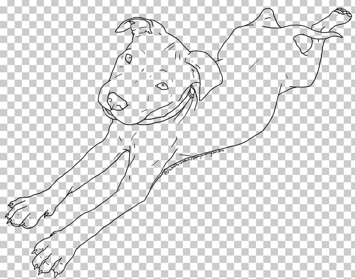 American Pit Bull Terrier Puppy Drawing Line Art PNG, Clipart, Angle, Animal, Animals, Arm, Black Free PNG Download