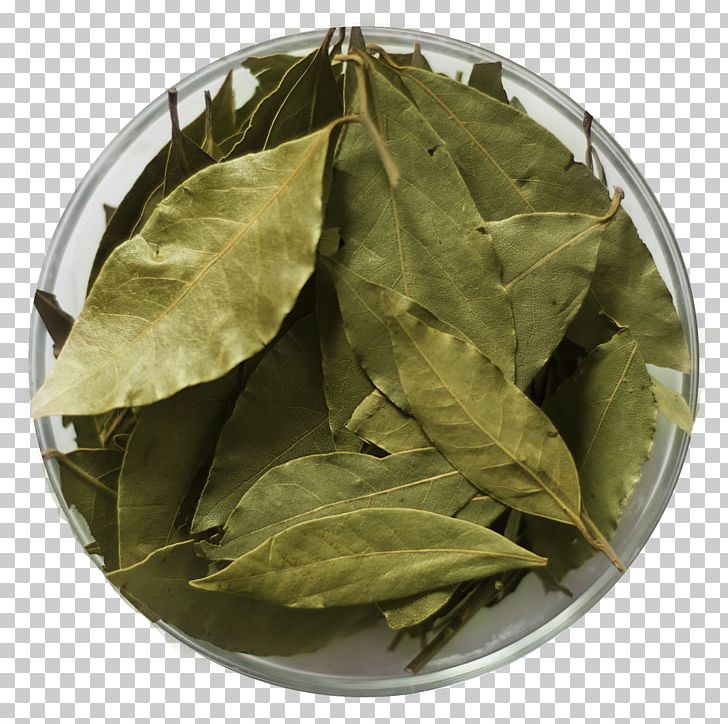 Bancha Herb PNG, Clipart, Bancha, Herb, Ingredient, Leaf, Longjing Tea Free PNG Download