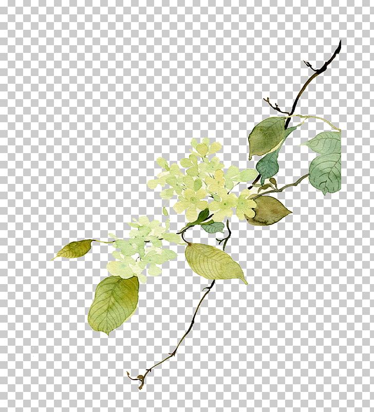 Flower PNG, Clipart, Branch, Branches, Chinese Style, Color, Drawing Free PNG Download