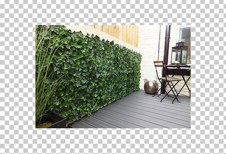 Hedge Fence Garden Ivy Vine PNG, Clipart, Artificial Turf, Balcony, Evergreen, Fence, Garden Free PNG Download