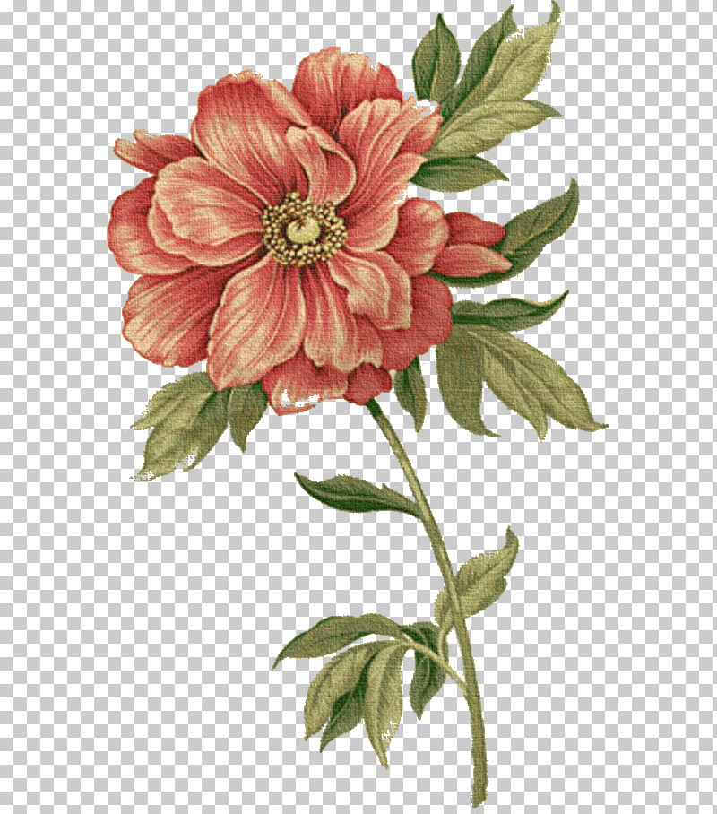 Artificial Flower PNG, Clipart, Artificial Flower, Chinese Peony, Common Peony, Cut Flowers, Drawing Flower Free PNG Download