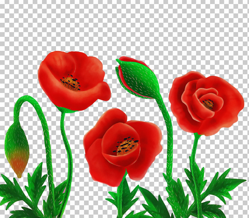Garden Roses PNG, Clipart, Artificial Flower, Common Poppy, Cut Flowers, Floral Design, Flower Free PNG Download