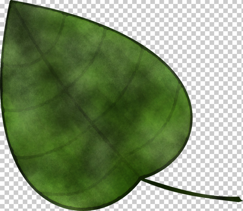 Green Leaf Plant PNG, Clipart, Green, Leaf, Plant Free PNG Download