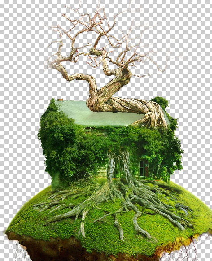 A Suspended Island PNG, Clipart, Bonsai, Computer Icons, Design Transparency, Download, Encapsulated Postscript Free PNG Download