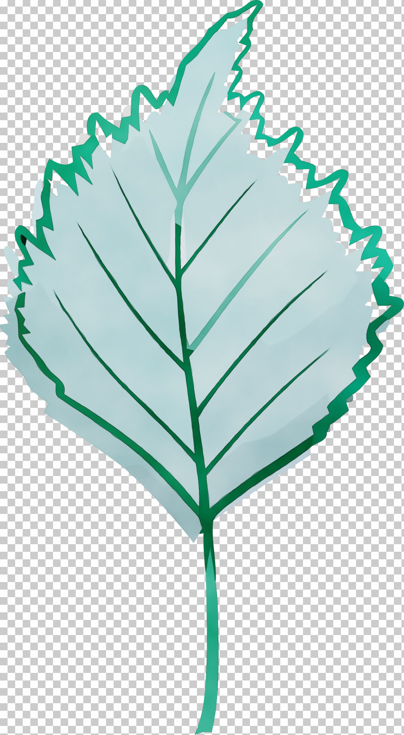 Leaf Green Plant PNG, Clipart, Autumn Leaf, Green, Leaf, Paint, Plant Free PNG Download