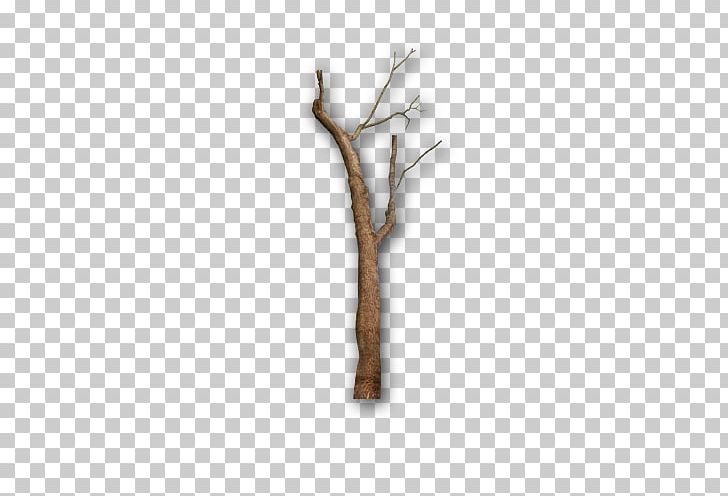 Gray Tree Twig Branch PNG, Clipart, Branch, Branches, Christmas Tree, Coconut Tree, Download Free PNG Download