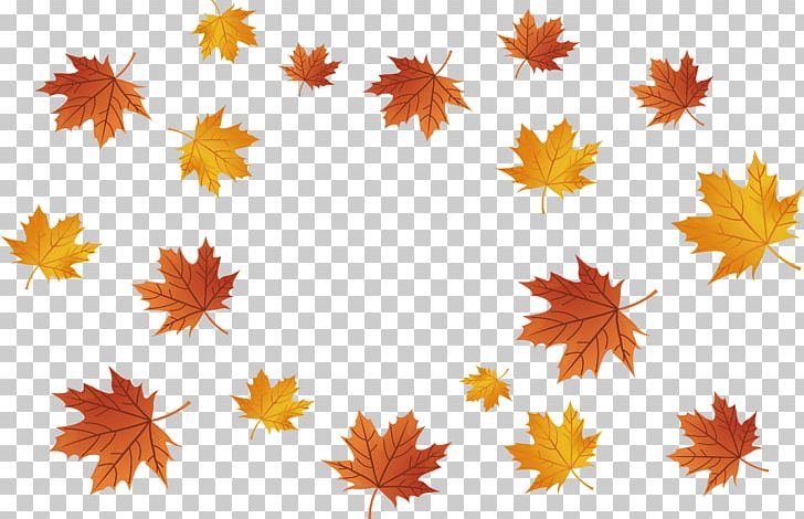 Maple Leaf PNG, Clipart, Autumn Leaves, Drawin, Encapsulated Postscript, Fall, Falling Free PNG Download