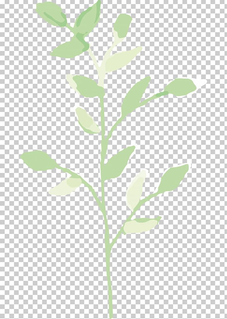 Twig Plant Stem Leaf PNG, Clipart, Branch, Coral Flowers, Leaf, Plant, Plant Stem Free PNG Download