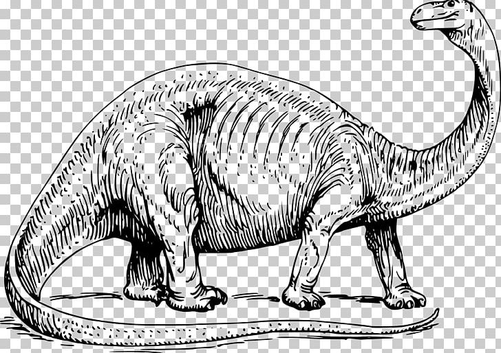 Brontosaurus Apatosaurus Stegosaurus Triceratops Tyrannosaurus PNG, Clipart, Allosaurus, Animal, Ankylosaurus, Black And White, Brachiosaurus Free PNG Download