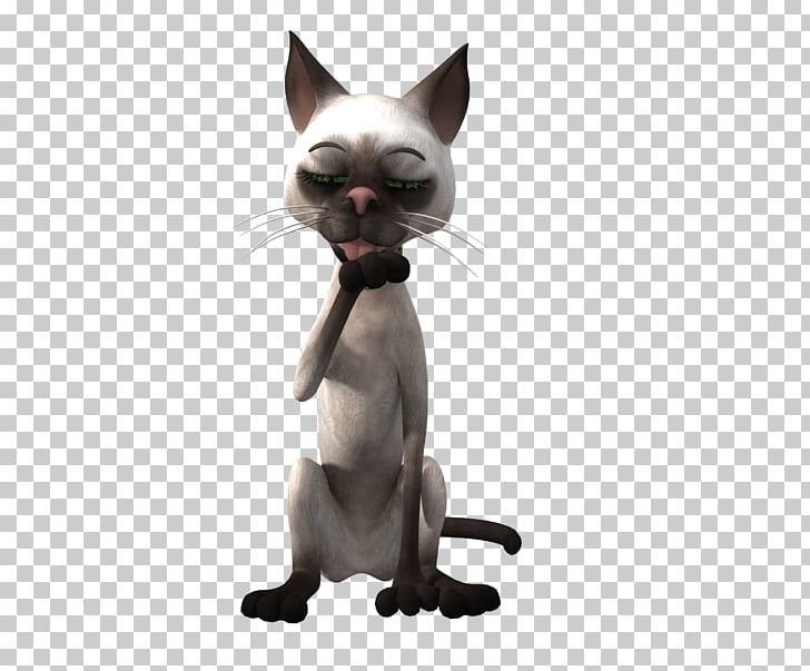 Cat Kitten 3D Computer Graphics PNG, Clipart, 3d Computer Graphics, Animals, Carnivoran, Cat, Cat Like Mammal Free PNG Download