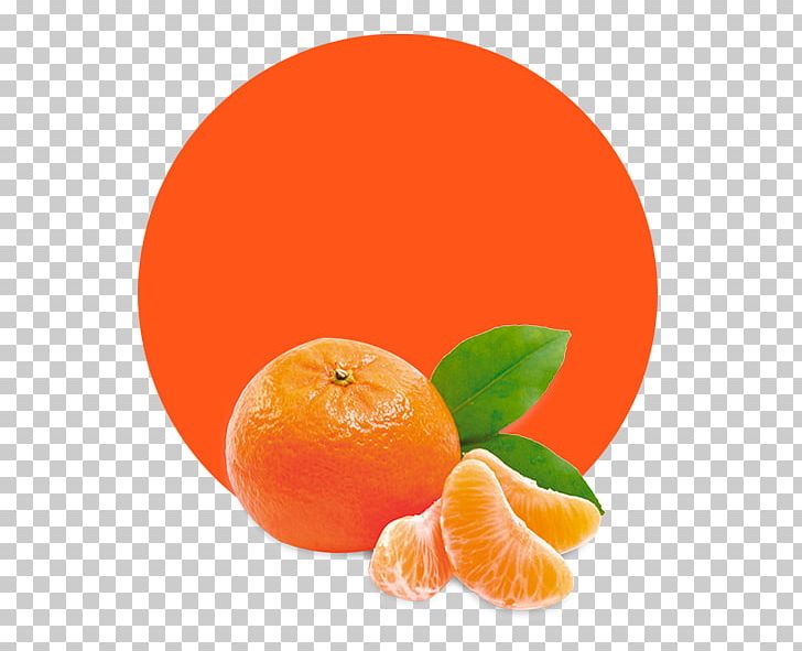 Mandarin Orange Tangerine Juice Marmalade PNG, Clipart, Bitter Orange, Citric Acid, Citrus, Clementine, Diet Food Free PNG Download