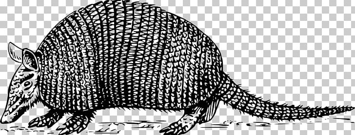Armadillo PNG, Clipart, Animal Figure, Armour, Black And White, Carnivoran, Cingulata Free PNG Download