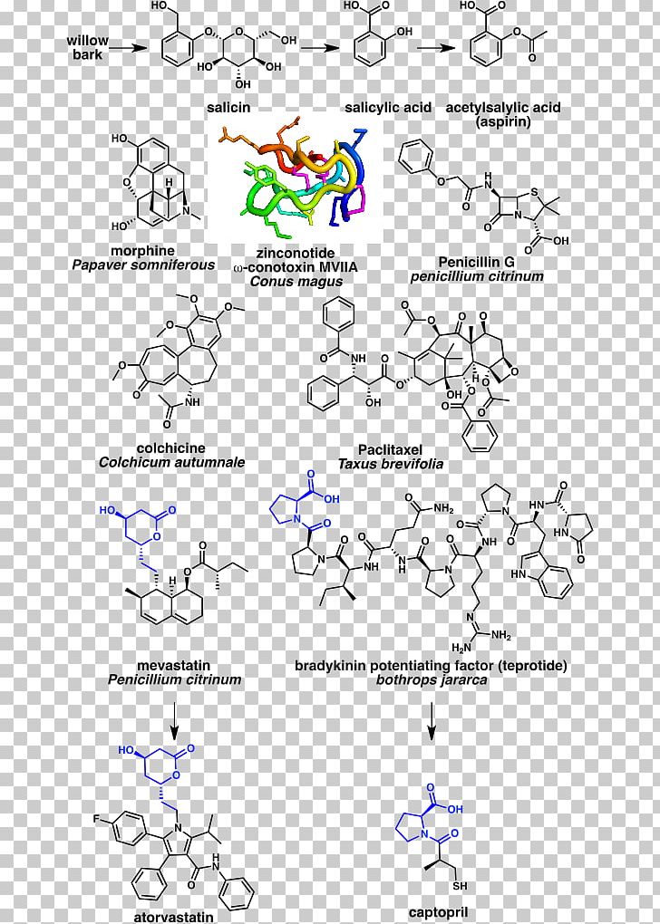 Natural Product Nature Organic Chemistry Organic Compound PNG, Clipart, Angle, Animal, Area, Art, Chemical Compound Free PNG Download