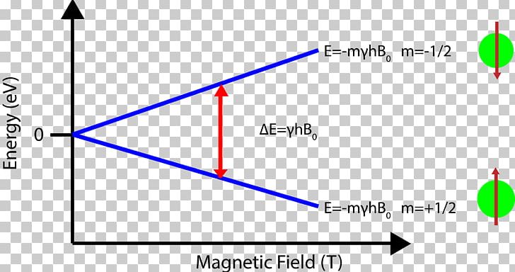 Zeeman Effect Nuclear Magnetic Resonance Spectroscopy Energy Level Nuclear Fission PNG, Clipart, Angle, Area, Chemical Energy, Chemistry, Circle Free PNG Download