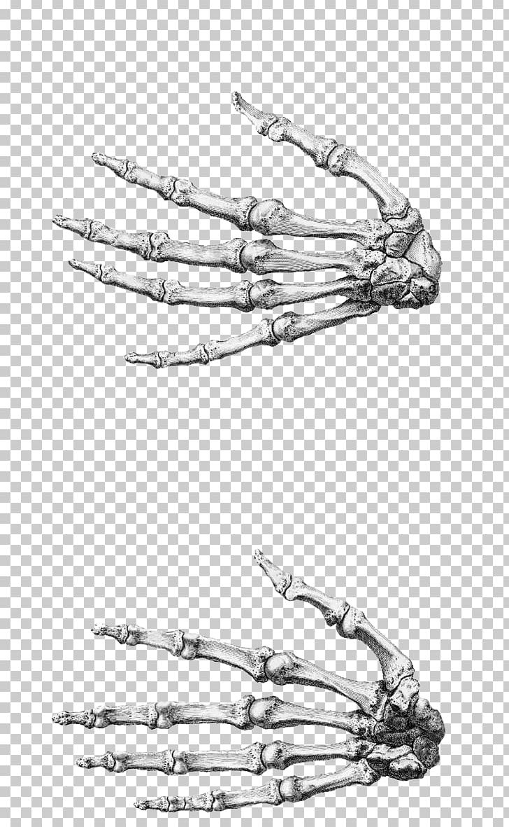 Finger Anatomy Accessory Bone Hand PNG, Clipart, Access, Anatomy, Arm, Black And White, Body Jewelry Free PNG Download